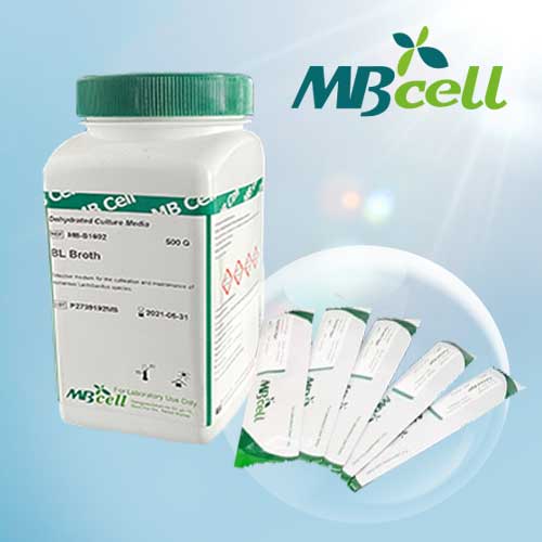 [MBCELL] BGLB 2% (Brilliant Geen Lactose Bile) Broth (500g) (98639)