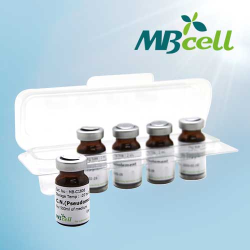 [MBCELL] Novobiocin supplement (1vial) (98505)